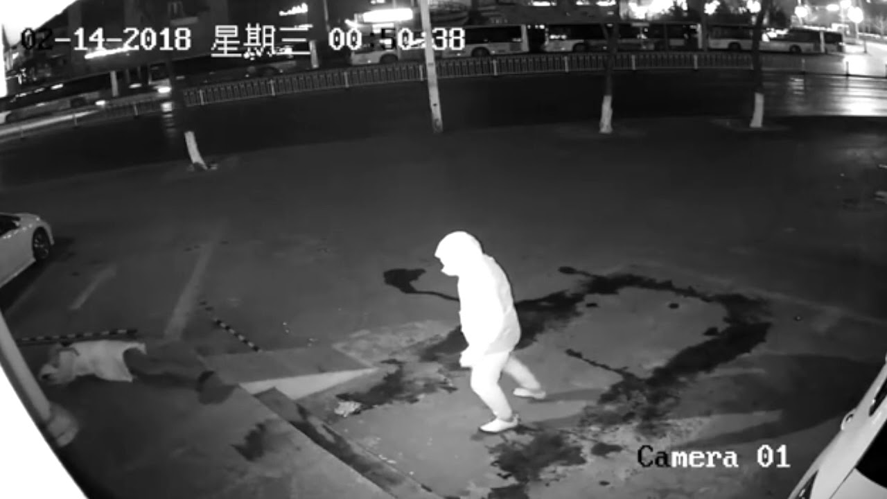 Epic brick throwing fail in China