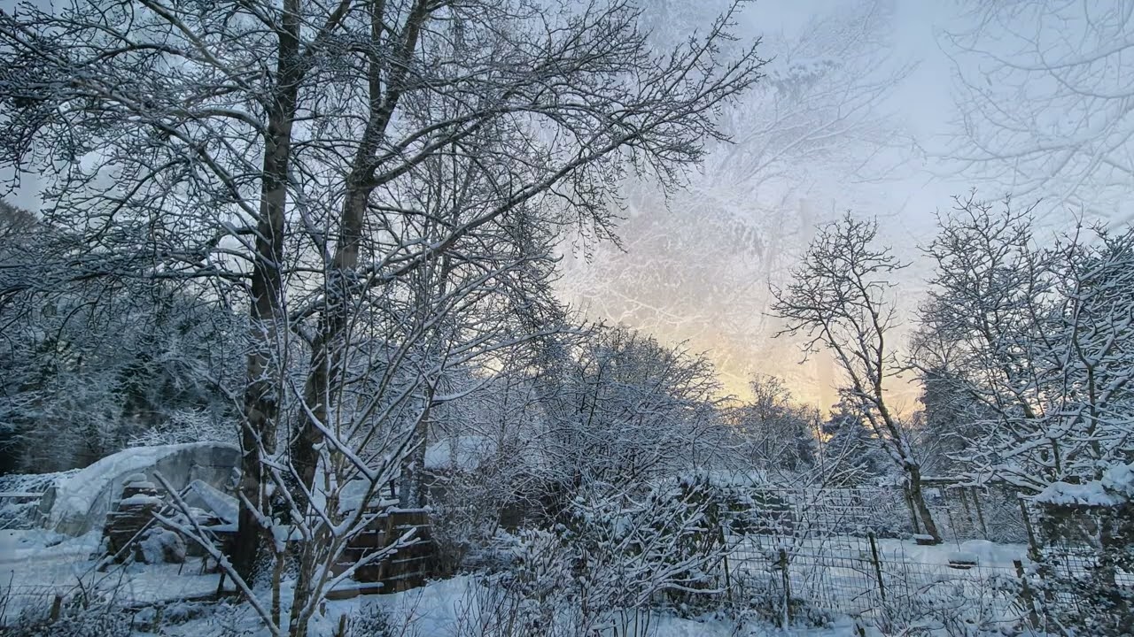 snow on snow