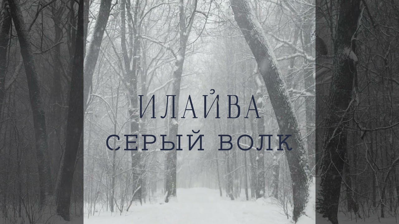 Илайва - Серый Волк