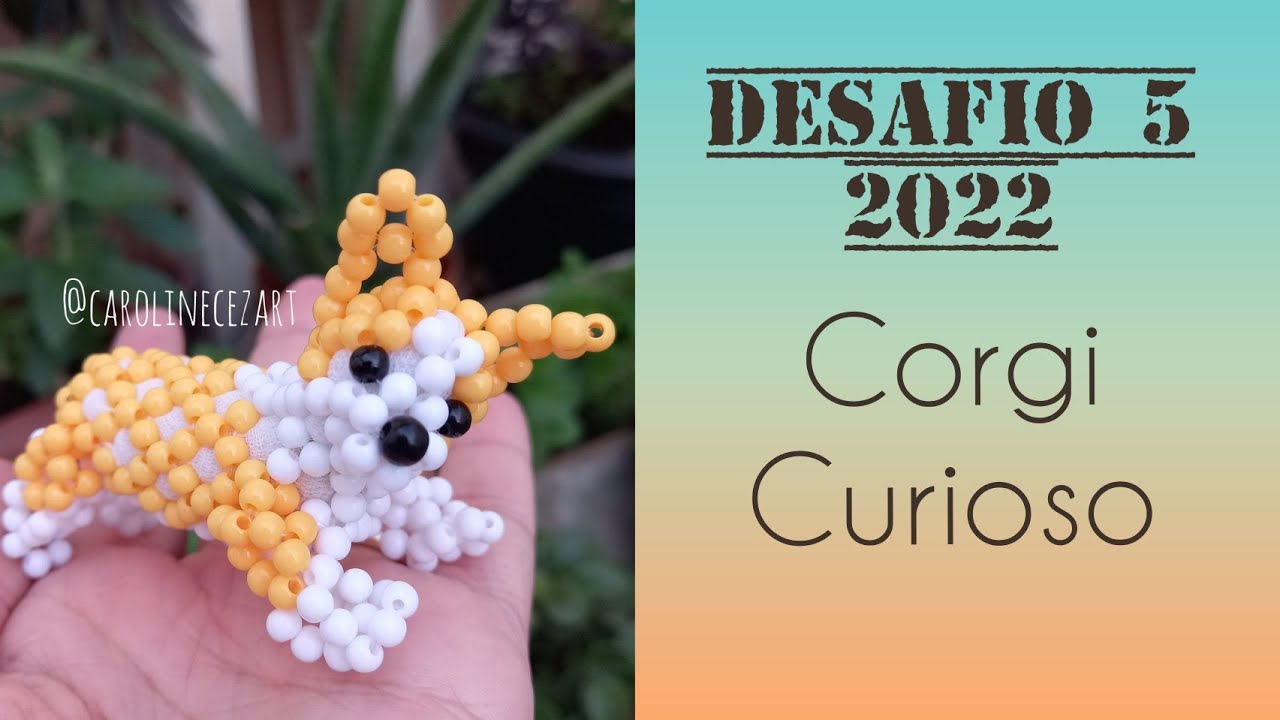 Corgi Curioso 3/3