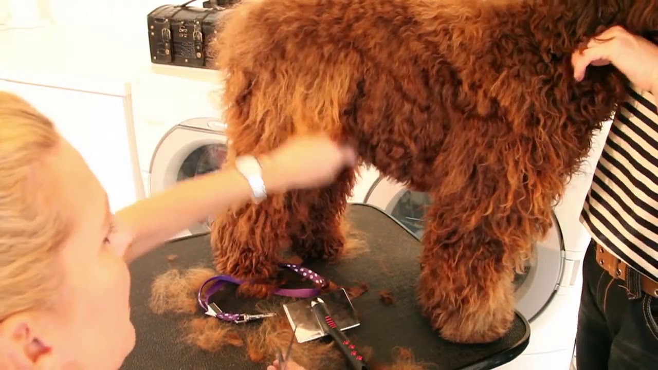 The Body, Hand/Scissor Cut