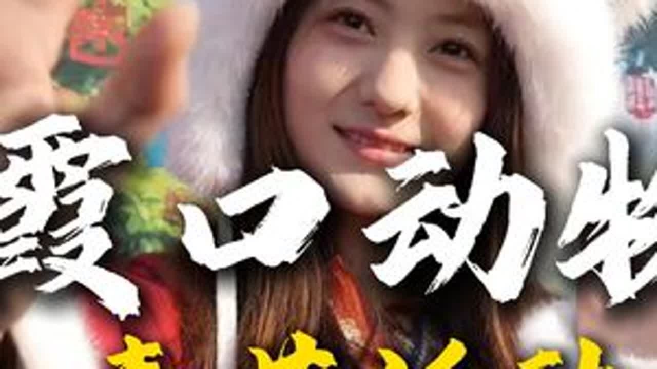 西霞口动物园春节巡游游戏闯关集卡 来动物园跟NPC互动游戏，闯关集卡兑换精美小礼物，感受不一样的春节体验#春节去大海边的动物园撒欢 #一定要打卡大海边的动物园呀 #一起遇见威海 #西霞口神雕山...