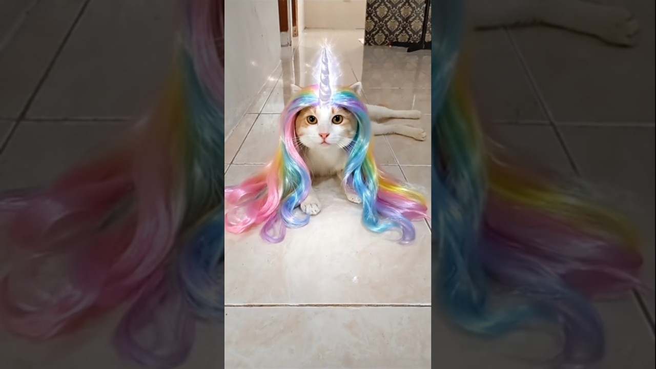Auww cantiknya Cinde😻🤭 