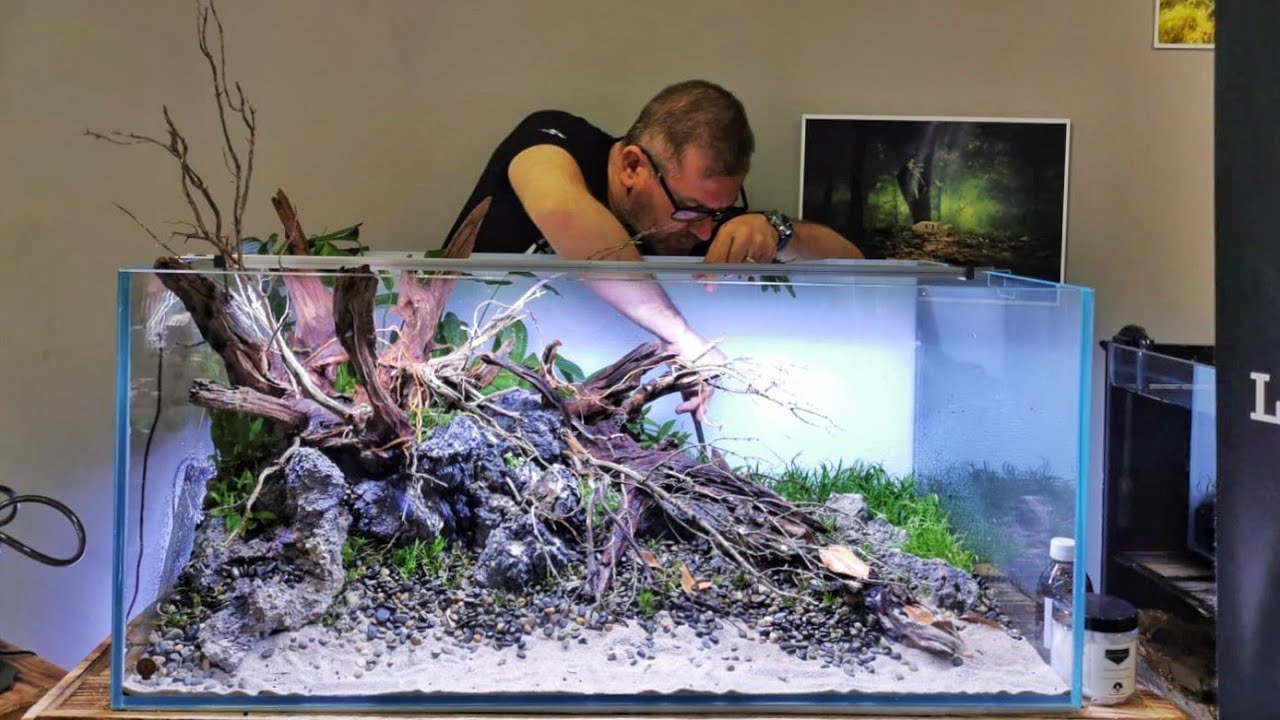 South America Biotope B2 - Sucuri River at Little Tree Design Biotopes