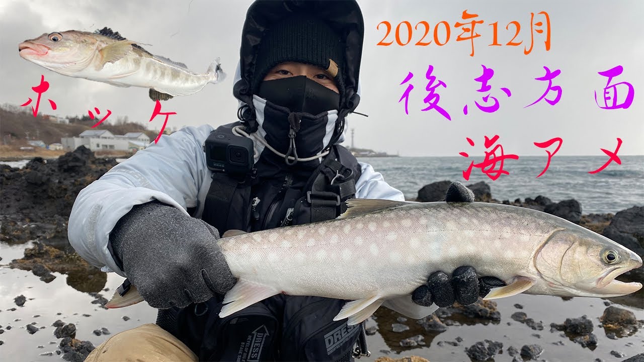 【北海道 後志方面 磯＆サーフ】ホッケ＆海アメ釣行！シーズン序盤の海アメとホッケを狙う！！