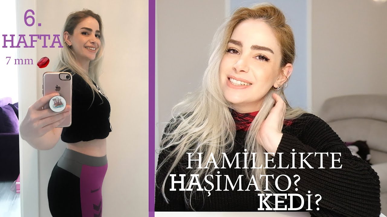 6. HAFTA GEBELİK | HAMİLELİKTE HAŞİMATO | HAMİLELİKTE KEDİ BESLEMEK