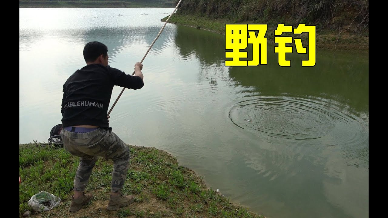 水库野钓大鲤鱼，这里的鱼饿疯了，阿琪下竿就疯狂咬钩，连连上鱼看着都过瘾，给力#野钓 #钓鱼 #鲤鱼 #大鱼【农村阿琪】