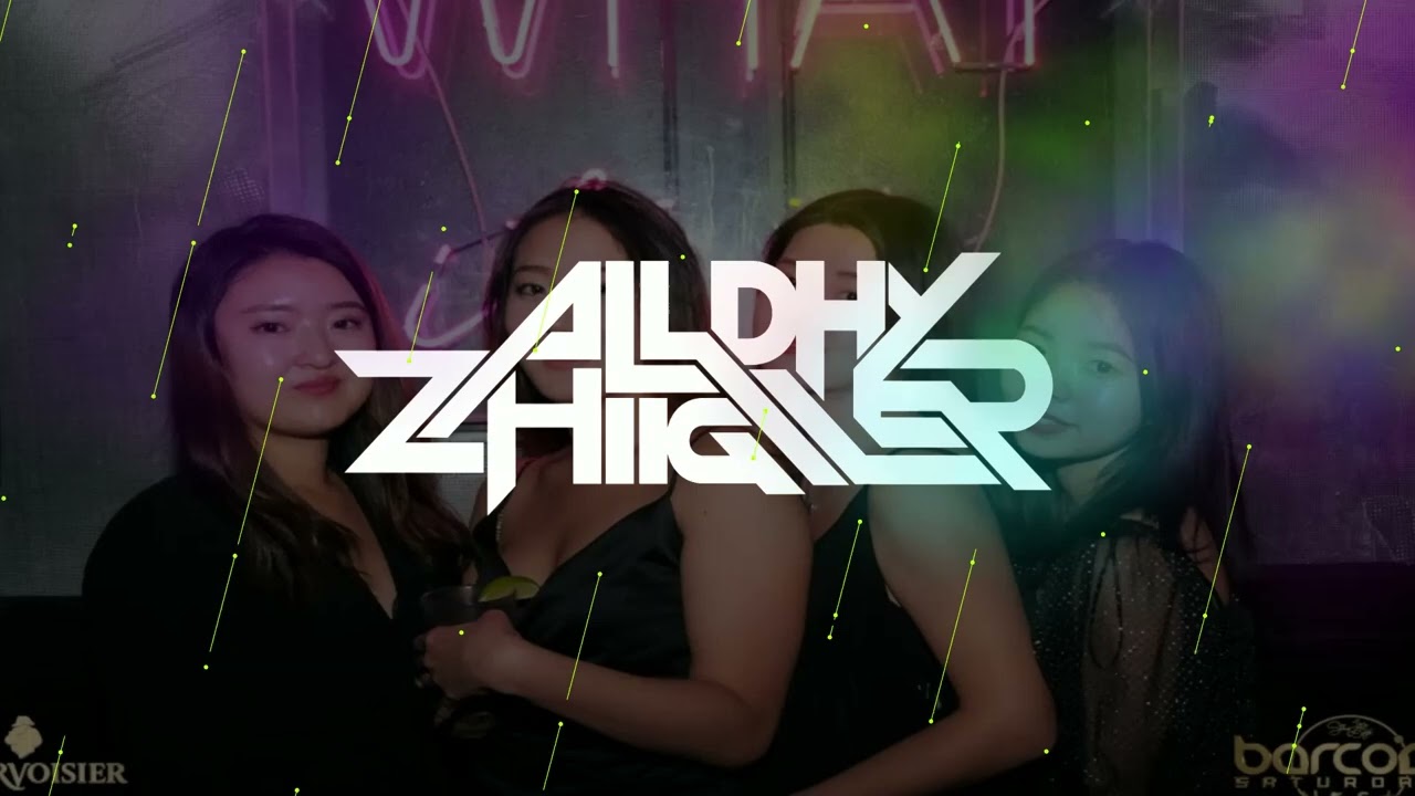 DANSA PORTU || TTM || ALLDHY ZHIIGLER REMIX