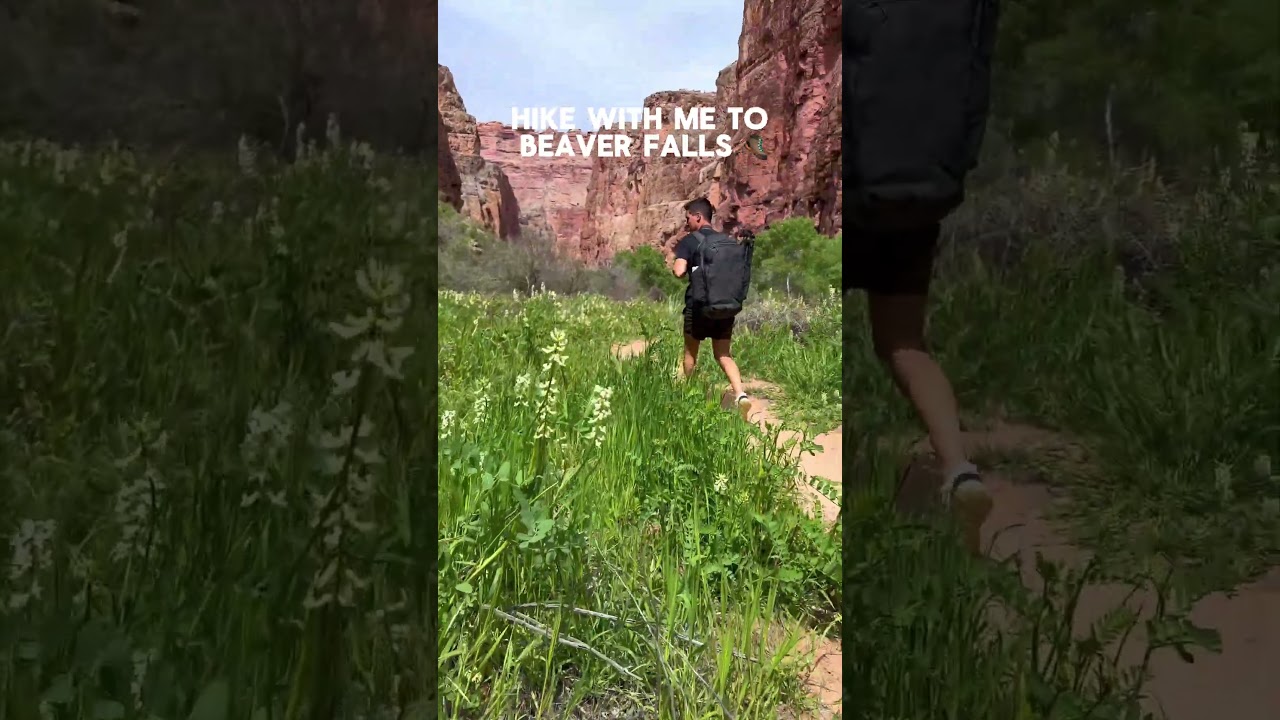 Hike with me to Beaver Falls #Havasupai #Hike #BeaverFalls #hiking #usa #travel #waterfall