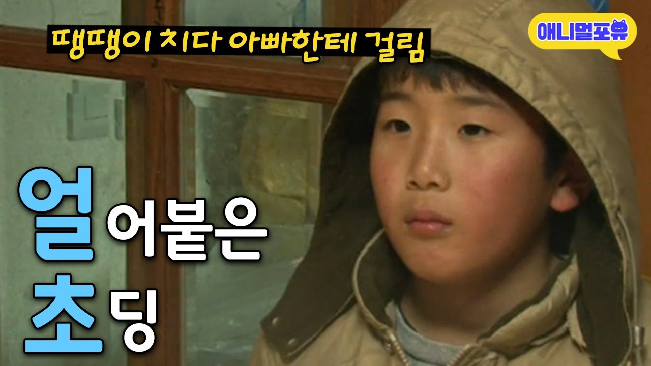 [풀버전] ㅋㅋㅋㅋ 땡땡이 치다 아빠한테 걸린 초딩의 최후 I KBS 인간극장 - 감나무골 7남매 2011 방송