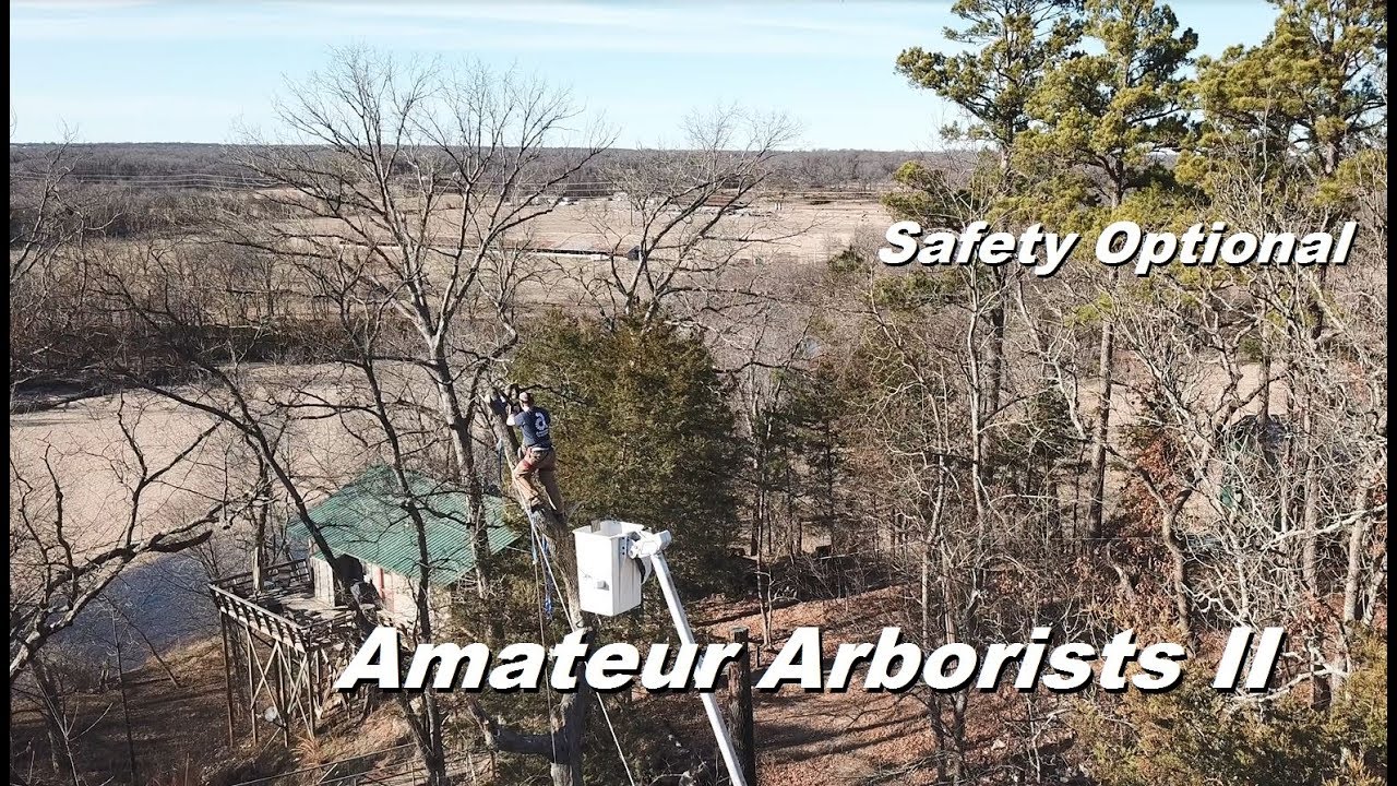 Amateur Arborists II - Removing a Tree Overhanging a Cabin