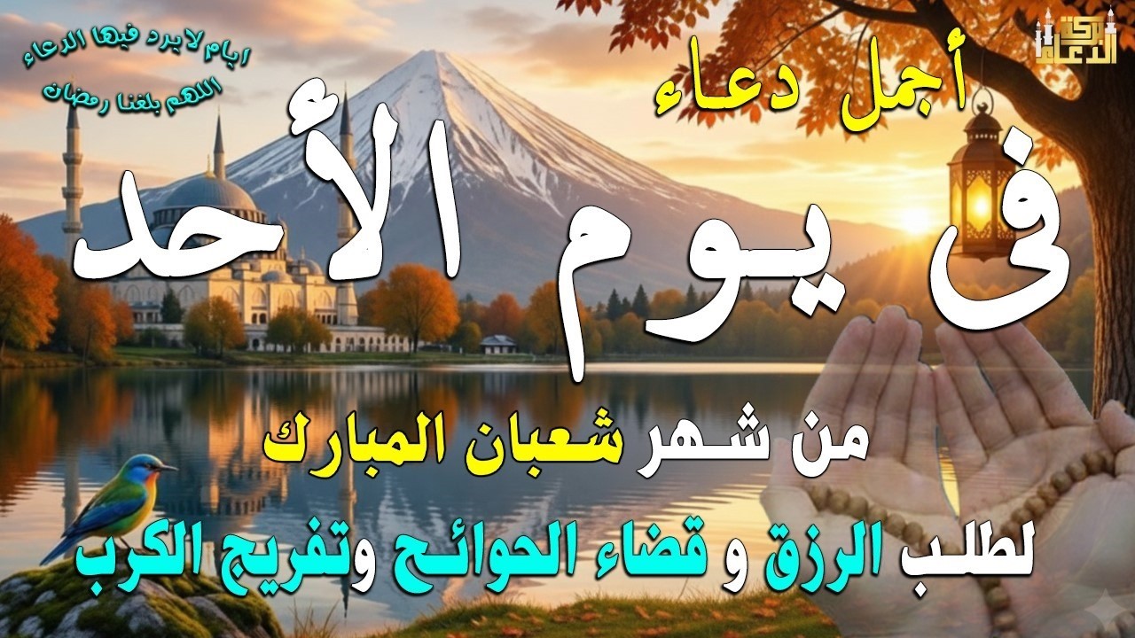 دعاء فى صباح يوم الثلاثاء 22 من شهر شعبان لطلب الرزق والفرج وقضاء الحوائج وتفريج الهم بإذن الله 💚