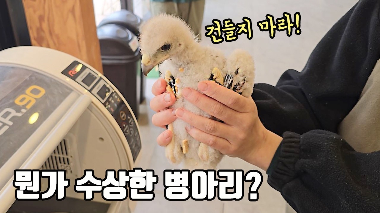 귀여움에 속지마세요! 제주도의 한 카페에서 만난 녀석의 정체가?
