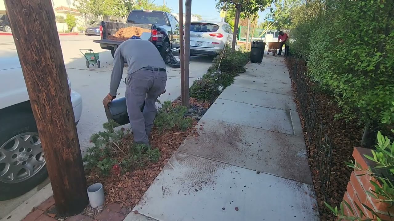 Day 76 Putting Woodchips 