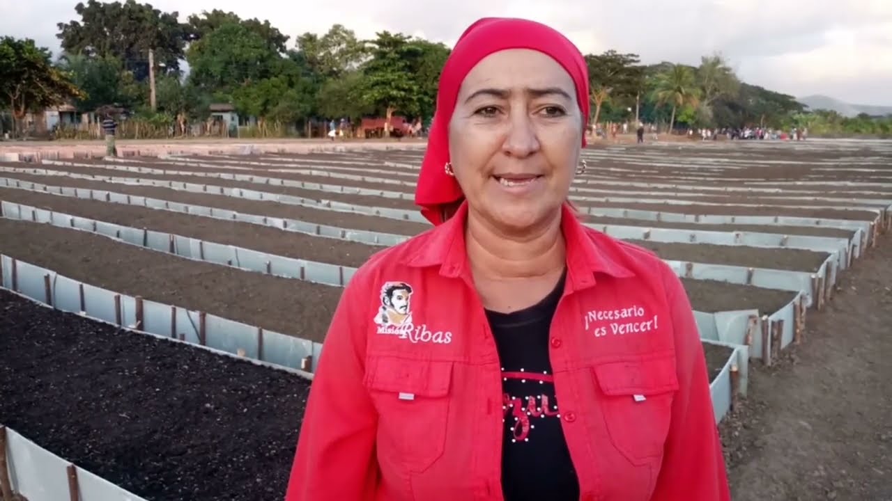 Construyen organopónico en Segundo Frente