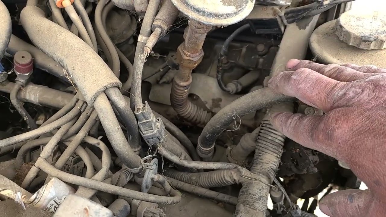 reviviendo Toyotas ya muertas pero ya prende JorgeRuano