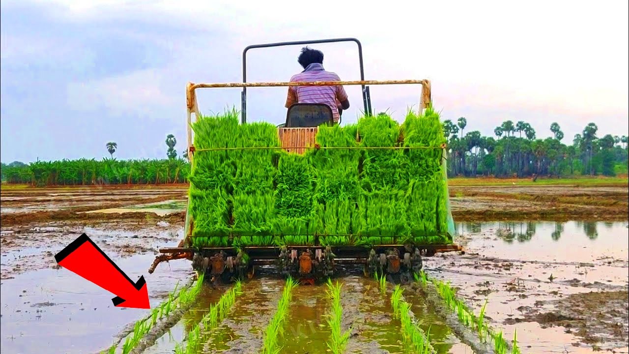 Amazing Farming Machines | Modern Technology Agriculture Machines That Are At Another Level
