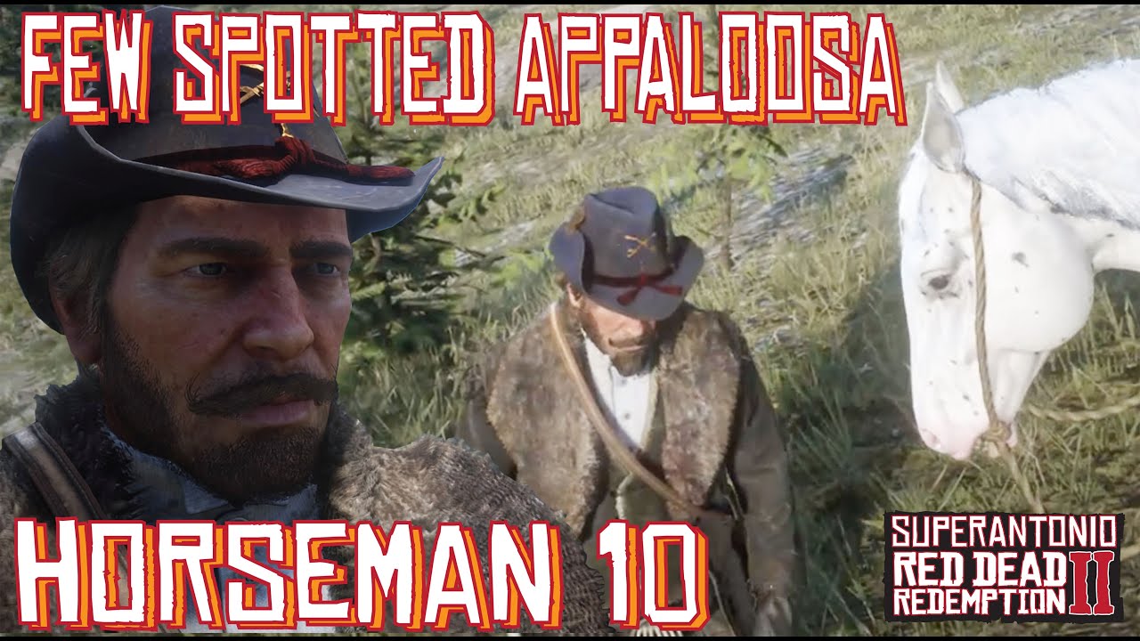 Местонахождение дикой пятнистой аппалузы для Всадника 10 с Артуром в Red Dead Redemption 2