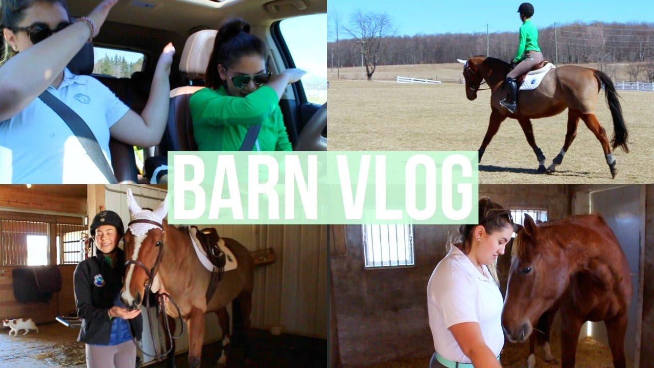 Barn Vlog #1 | Equestrian Prep