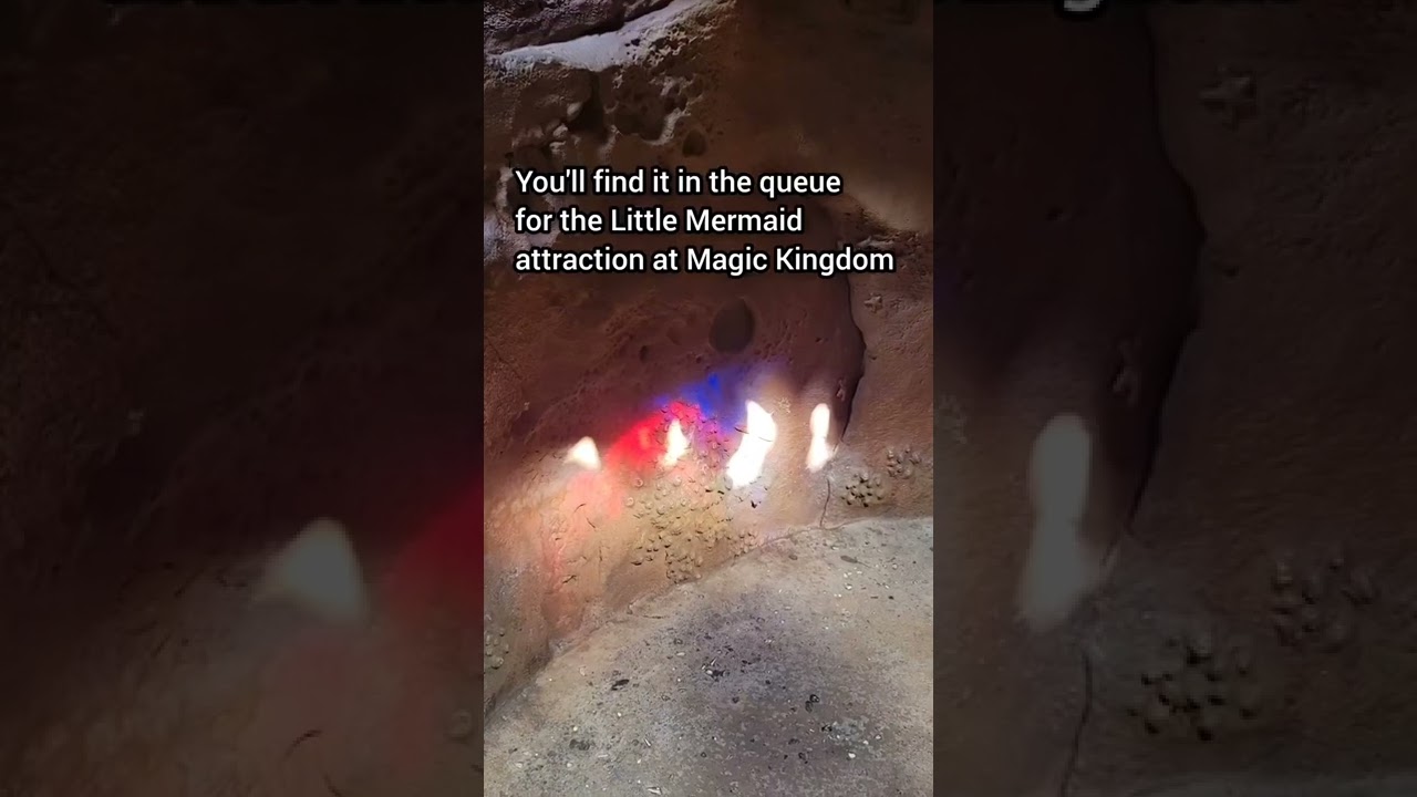 The RAREST Hidden Mickey at Disney World!