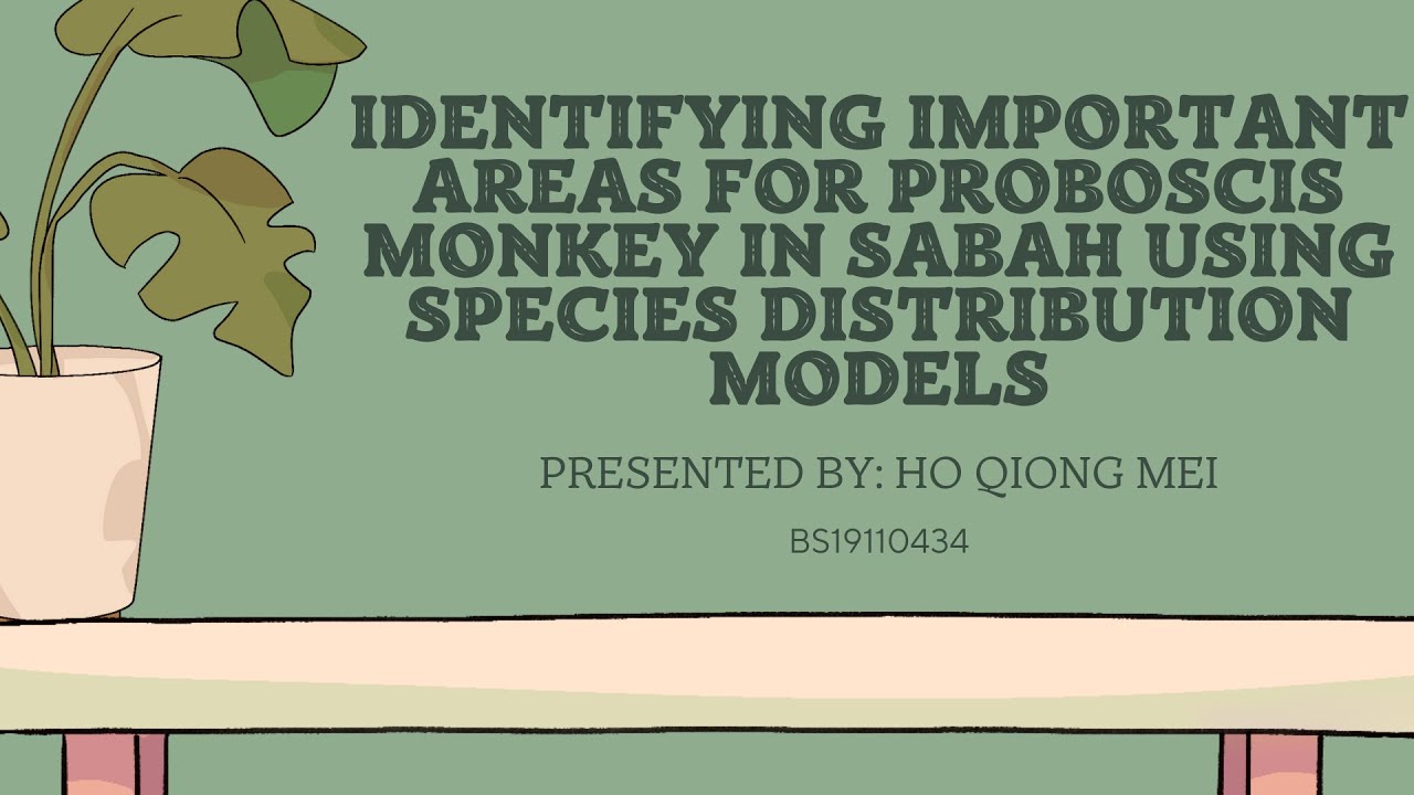 Identifying important areas for proboscis monkey in Sabah using species distribution model