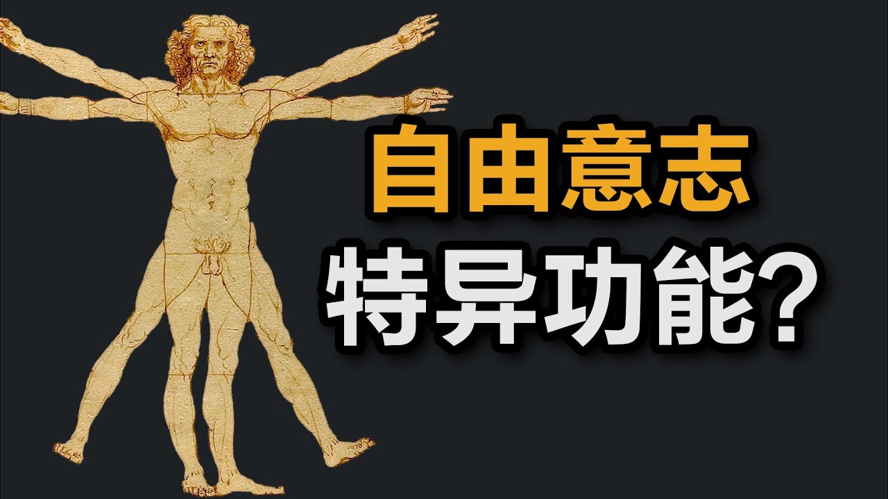 哲学问题：人有自由意志吗？