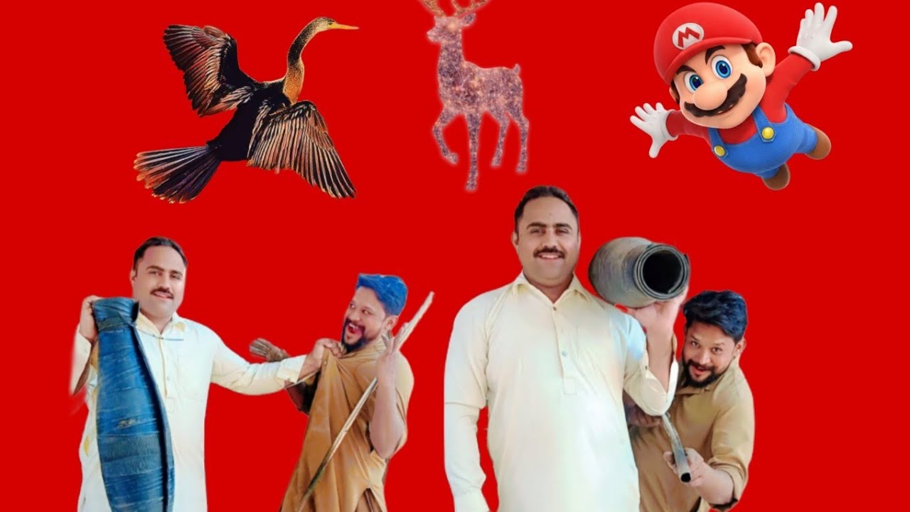مستریوں کے ساتھ ہوگی لڑائی لڑائی ہوگی 🤣🤣🤣🤣💐❤️❤️❤️❤️🌹🇦🇺🇵🇰