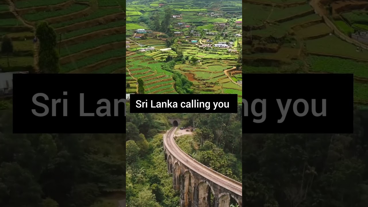 Sri Lanka calling 📞😍 #travel9 #travel #trending #train #ytshorts #shorts