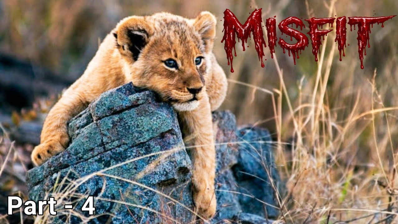 परिवार छोड़ देता है अपने बच्चे को मरने के लिए || The True Story Of Misfit Lion Cub ||