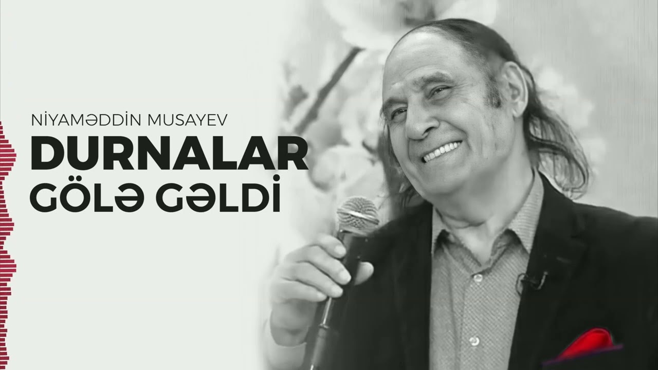 Niyaməddin Musayev — Durnalar gölə gəldi