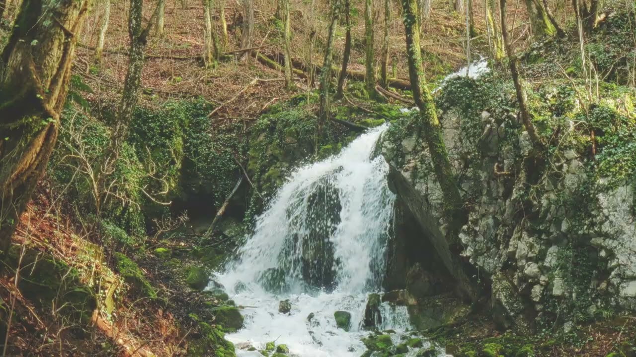 Slap Sušec waterfall Sušec Ilirska Bistrica Slovenia