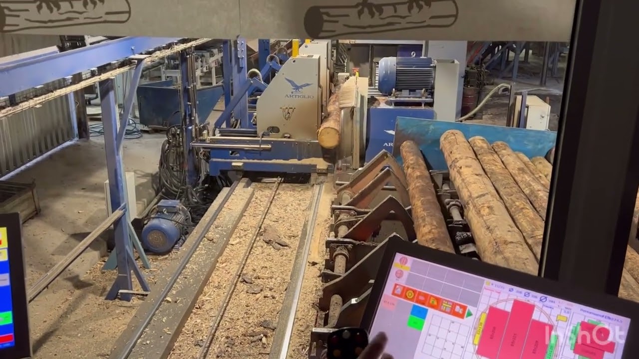 Jurton Sawmill - Linea di Taglio Artiglio