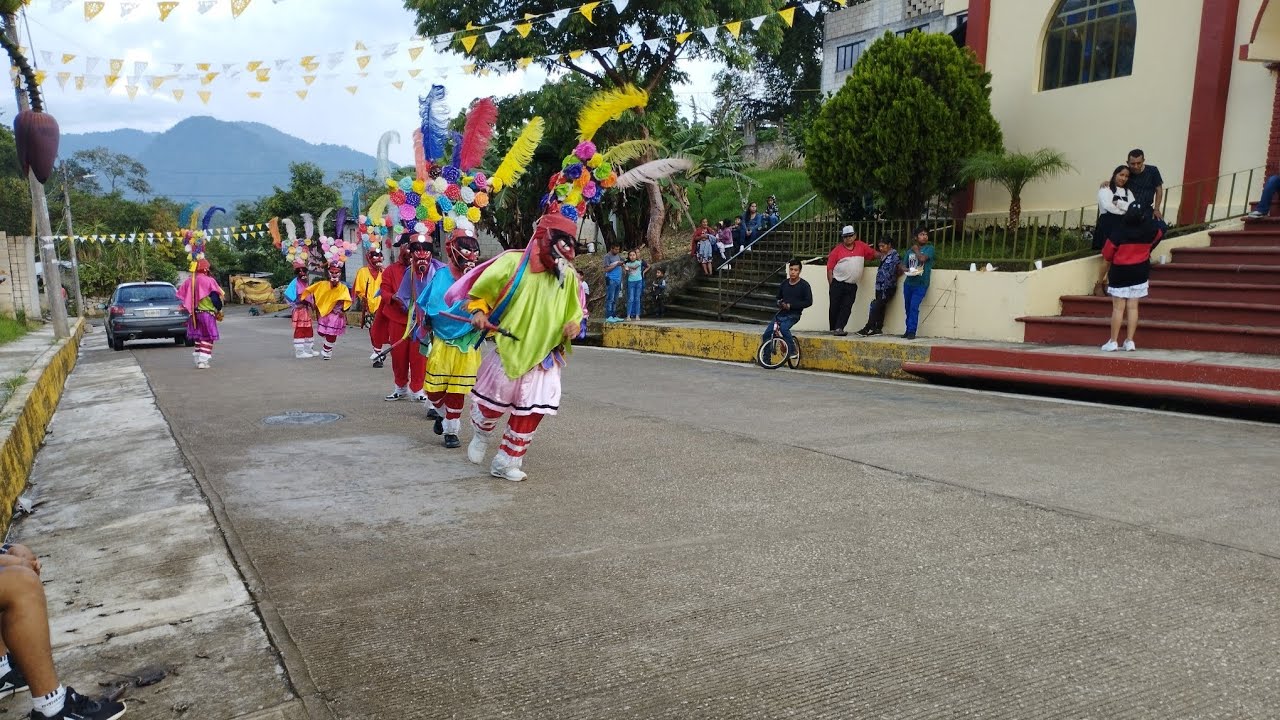 DANZA DE SANTIAGO IXHUATLÁN DEL CAFÉ, VER. #fyp #viralvideo