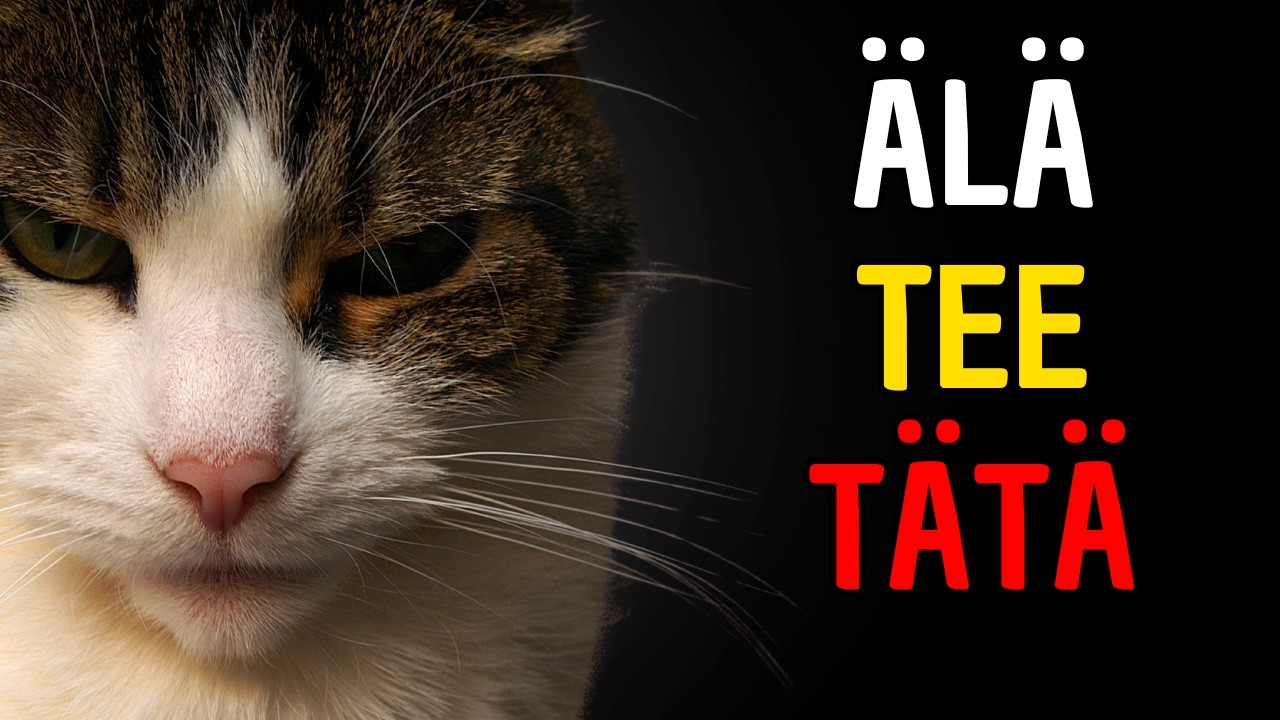 10 asiaa, joita kissa ei IKIN&Auml; anna anteeksi 😿