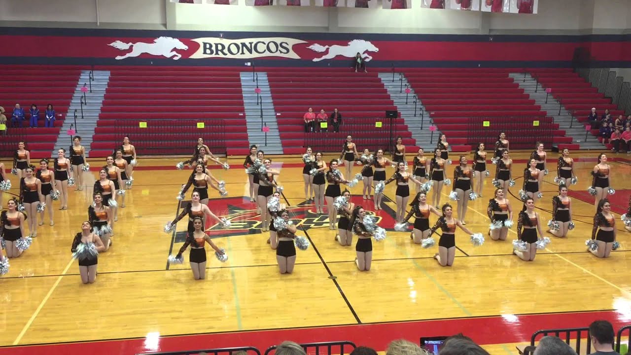 R. L. Turner Lionettes - Team Pom 2015