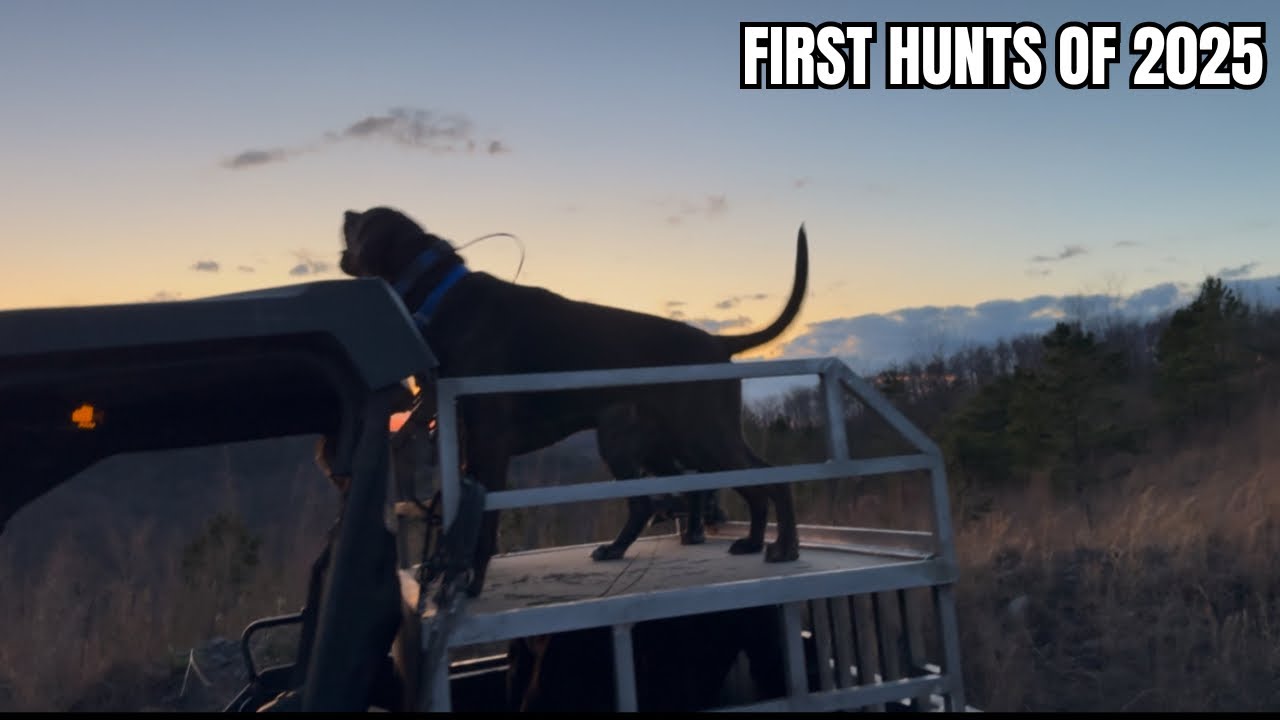 UPDATE + First Hunts of 2025!