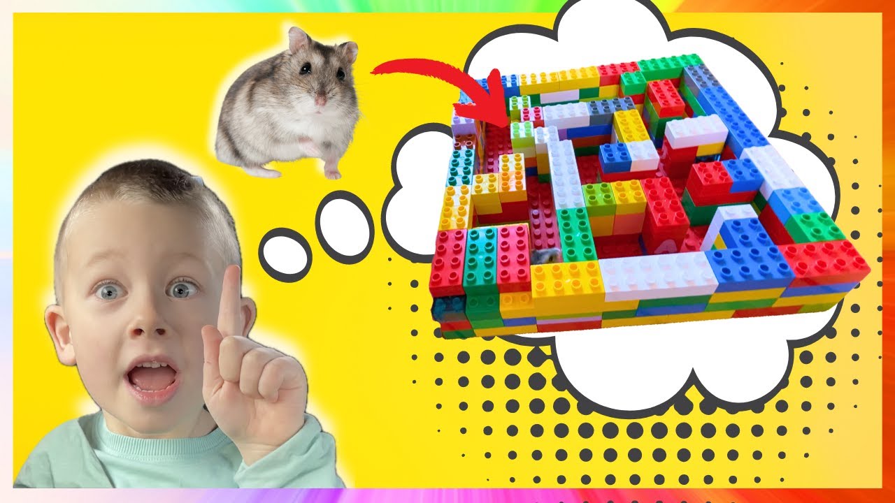 First pet with Nohr! Sammy the Hamster!
