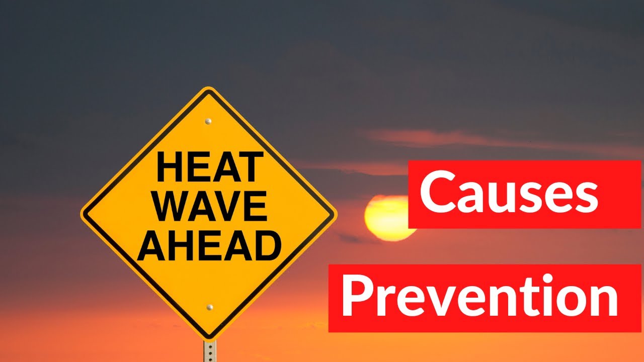 What Are Heat Waves? Causes, Dangers and Precautions