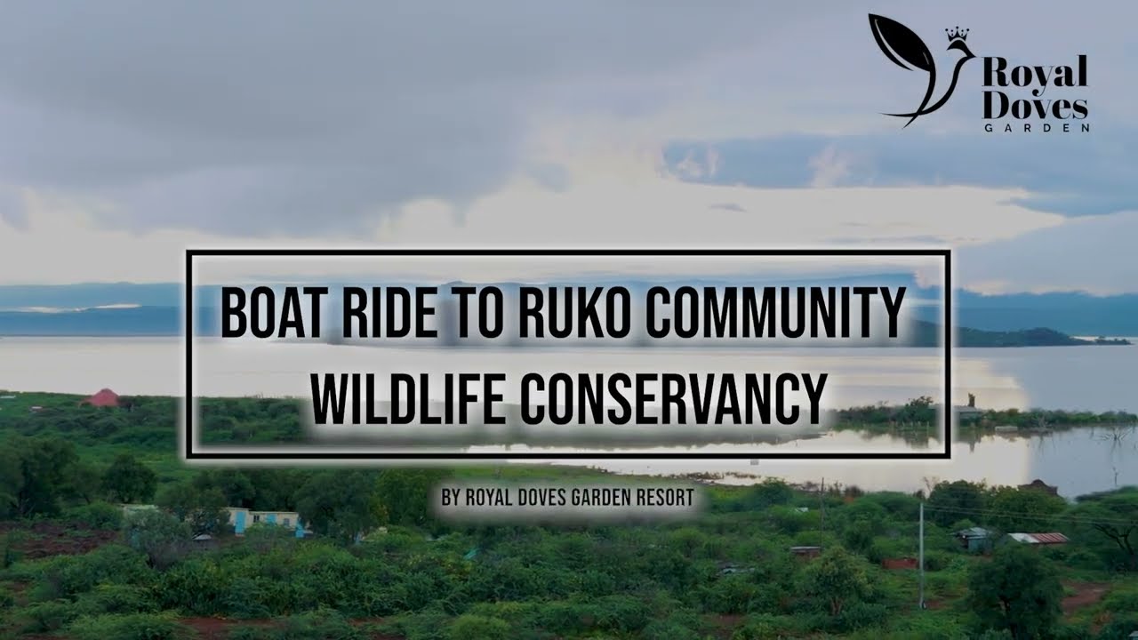 Journey Into the Wild: Boat Ride to Ruko Conservancy, Lake Baringo | Royal Doves Garden Resort