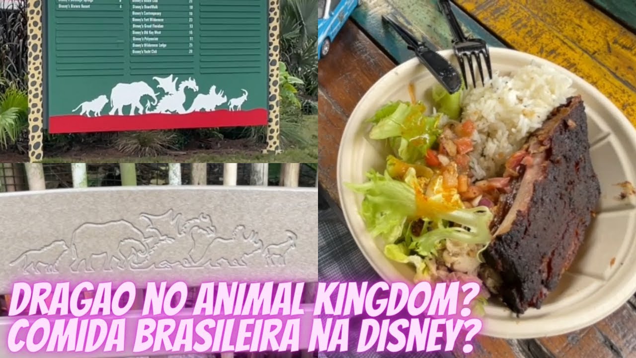 Dragao no Animal Kingdom Disney | Comida saudavel e quase brasileira na Disney | Loja do Rei Leao