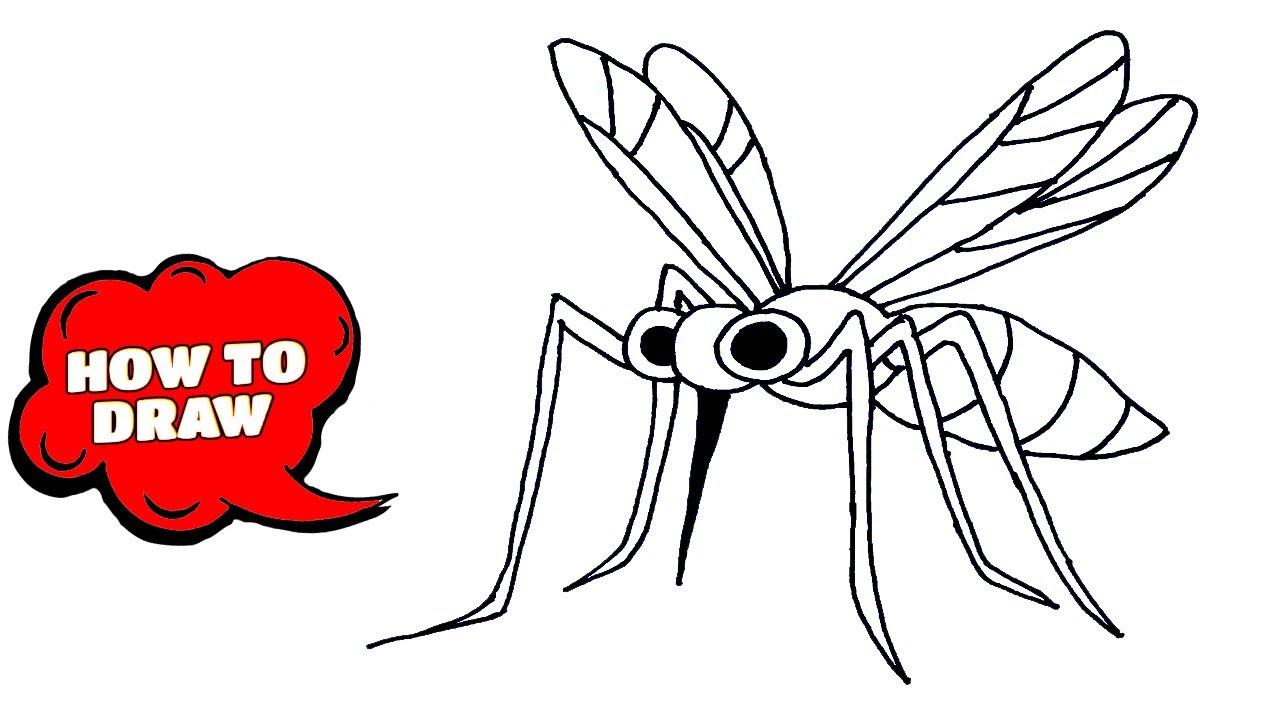 How to draw Mosquito | Mosquito drawing cartoon | Easy drawings