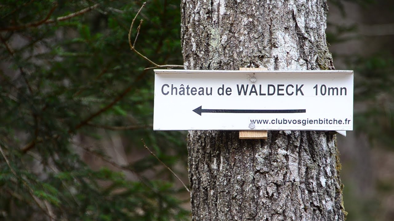 Wanderung : Burg Waldeck / Château de Waldeck