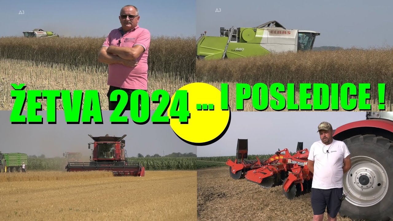 ŽETVA 2024  - VELIKE PROMENE zbog PADA CENA - krenulo je NADOLE ali sve - PADA i CENA ZAKUPA !!