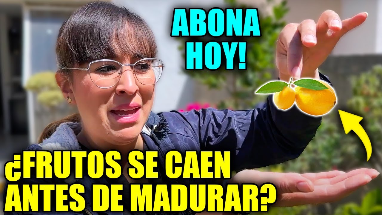 🍋 ¿CADA CUÁNTO y CÓMO ABONAR tus PLANTAS? 🌻 Más flores, frutos y resistencia!!