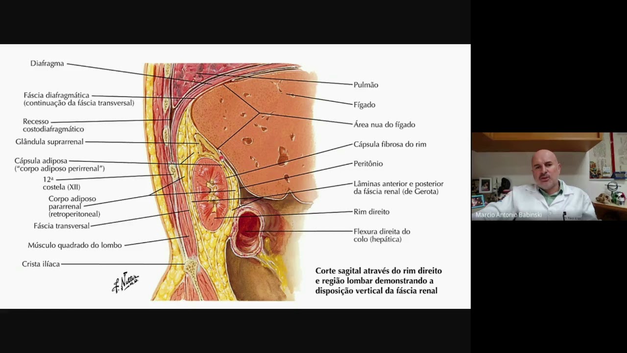 ANATOMIA APLICADA DO INTESTINO GROSSO