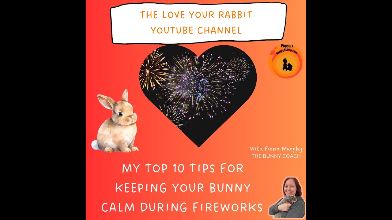 🎇MY TOP 10 TIPS FOR KEEPING YOUR BUNNY CALM DURING FIREWORKS