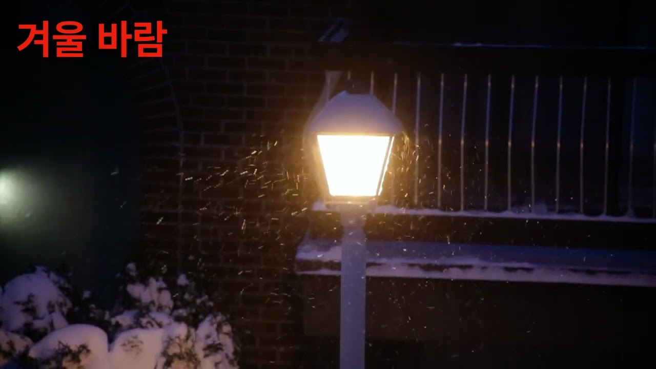 겨울 바람
