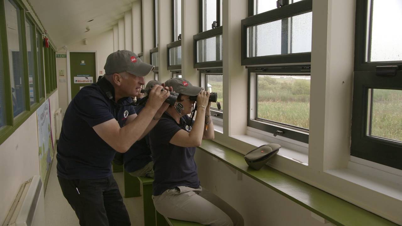 Birdfair 2016: the official Noctivid launch