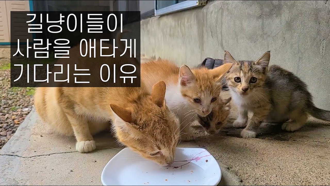 나 없으면 어떡할래 진짜