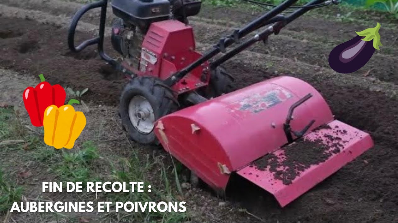 Comment travailler la terre avec le Motoculteur pour enrichir le Sol (engrais organique) ?